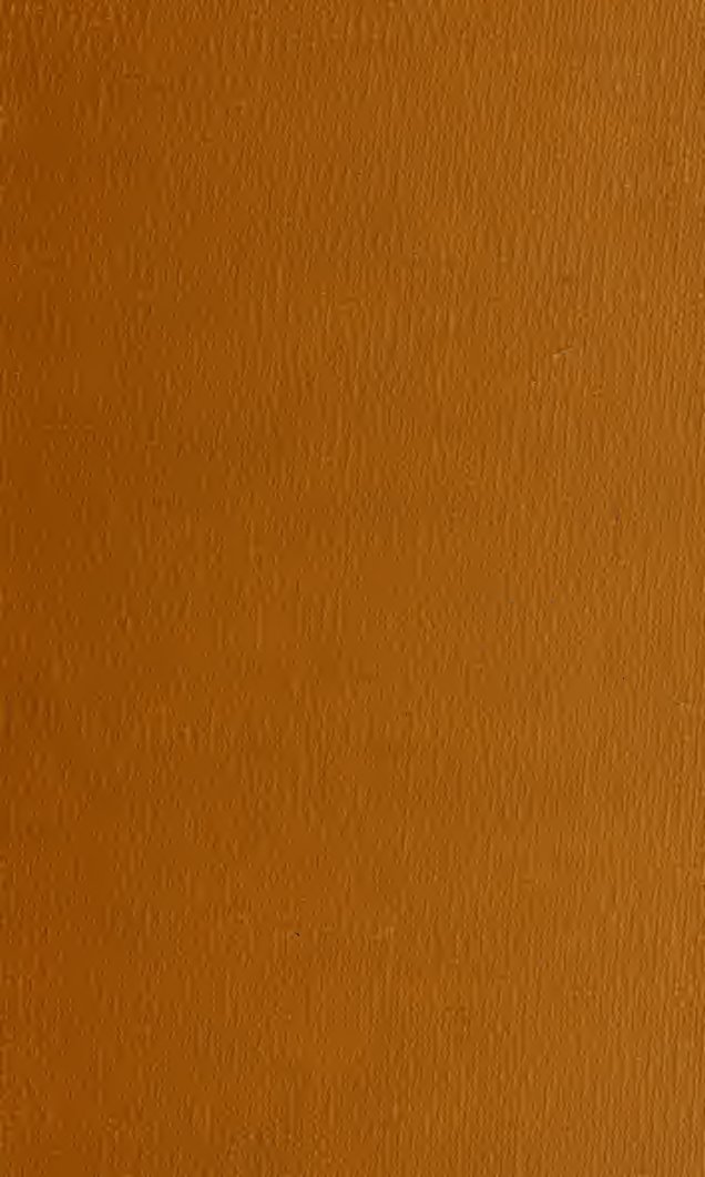 Cover of The Voyage of Bran, Son of Febal, to the Land of the Living, Vol. II