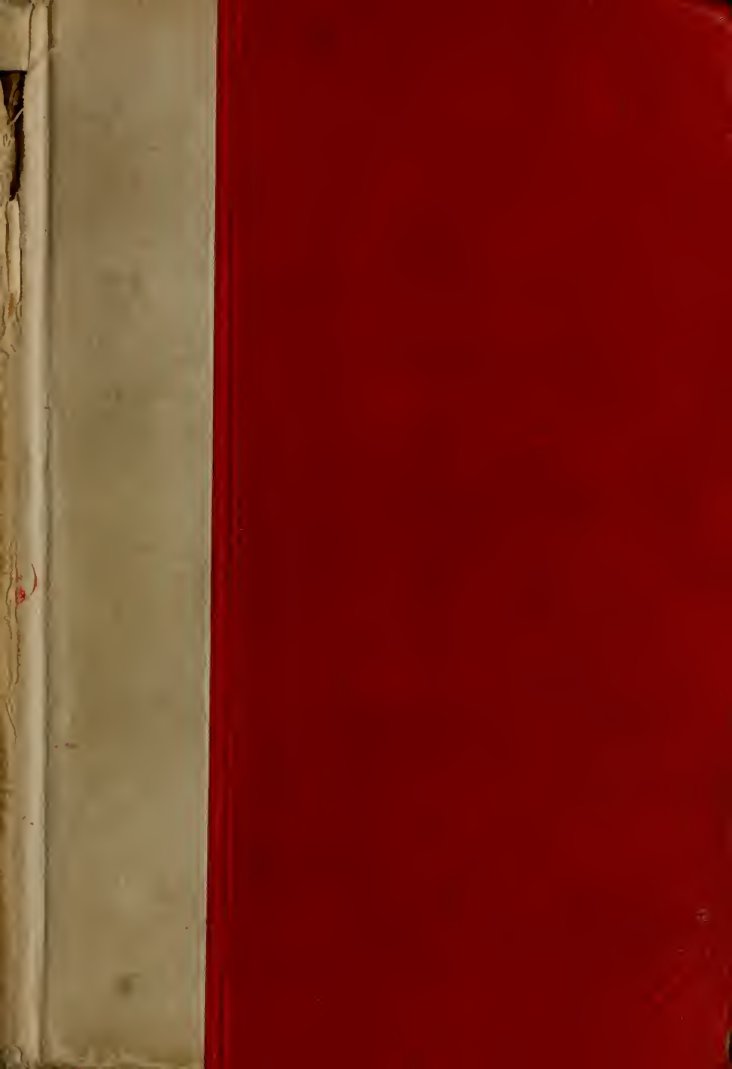 Cover of There Is No Death