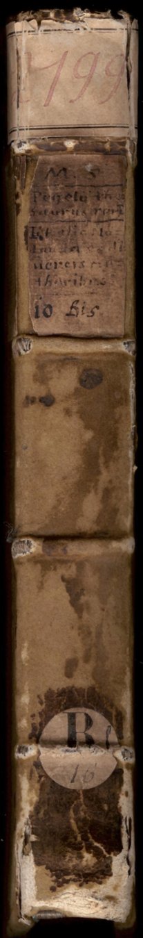 Cover of Traites et extraits de traites d'alchimie (Bibliotheque Sainte-Genevieve MS 2199)