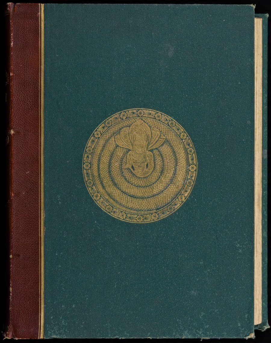 Cover of Tree and Serpent Worship