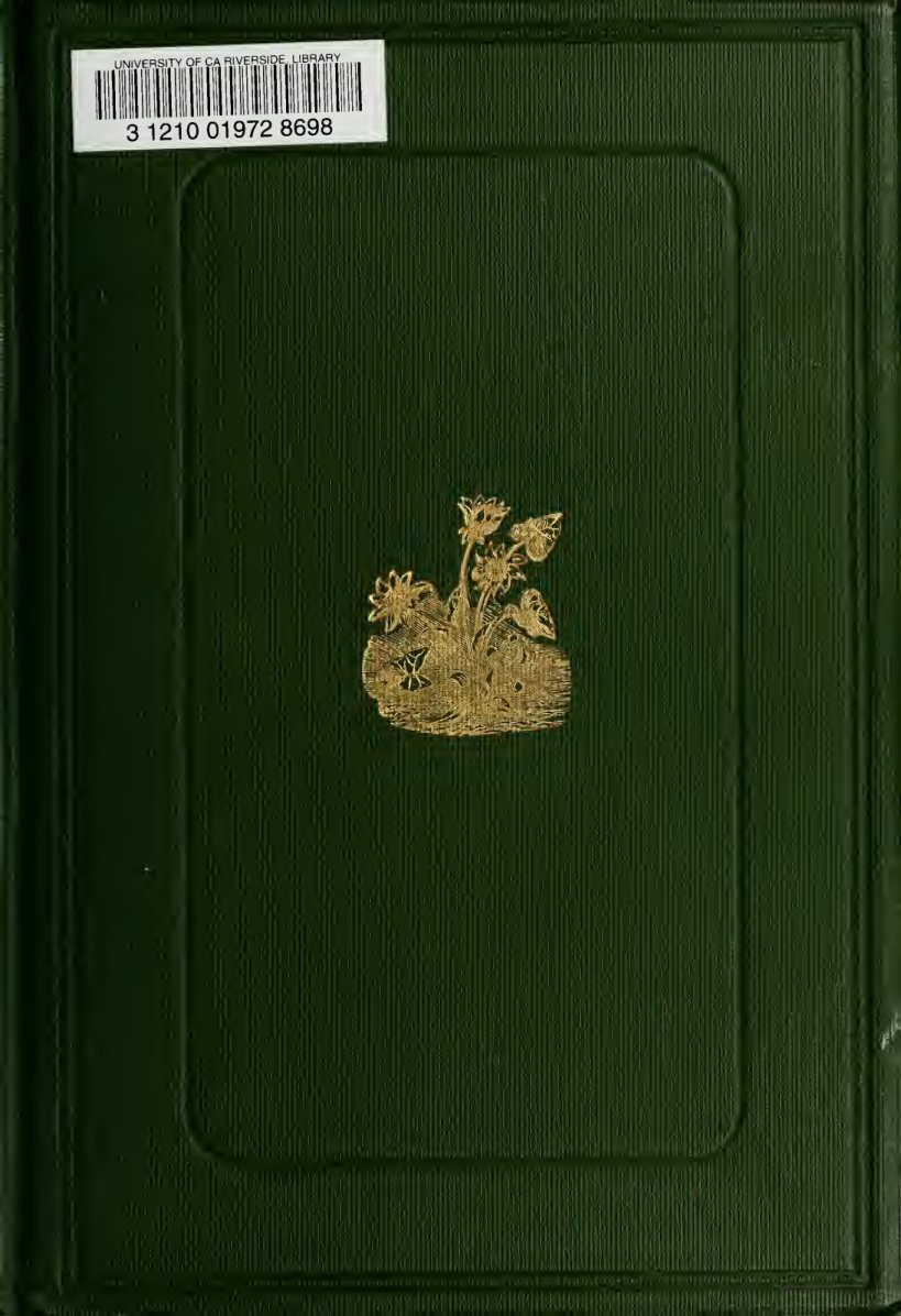 Cover of 'Twixt Ben Nevis and Glencoe: The Natural History, Legends, and Folk-Lore of the West Highlands