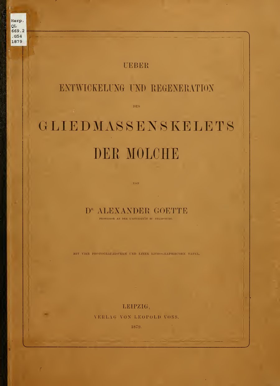 Cover of Ueber Entwicklung und Regeneration des Gliedmassenskelets der Molche